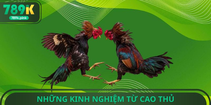 Những kinh nghiệm từ cao thủ