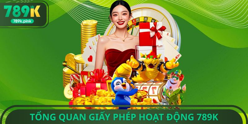 Tổng quan giấy phép hoạt động 789k