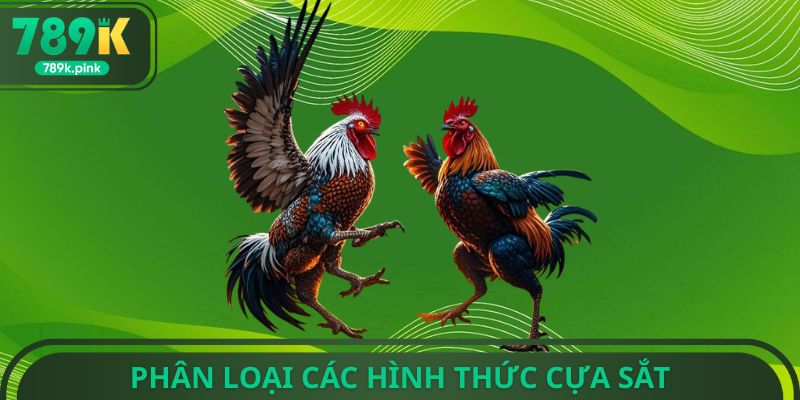 Phân loại các hình thức cựa sắt